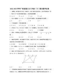 2022-2023学年广东省湛江市八年级（下）期末数学试卷（含解析）