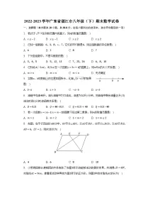 2022-2023学年广东省湛江市八年级（下）期末数学试卷（含解析）