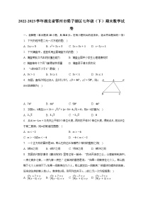 2022-2023学年湖北省鄂州市梁子湖区七年级（下）期末数学试卷（含解析）