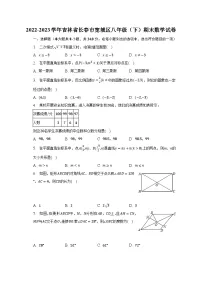 2022-2023学年吉林省长春市宽城区八年级(下)期末数学试卷(含解析)