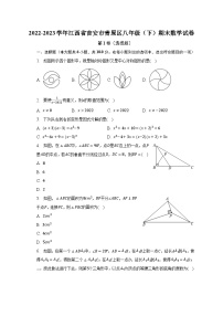 2022-2023学年江西省吉安市青原区八年级（下）期末数学试卷（含解析）