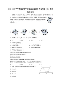 2022-2023学年青海省西宁市城西区海湖中学七年级（下）期中数学试卷（含解析）