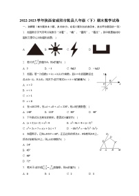 2022-2023学年陕西省咸阳市乾县八年级（下）期末数学试卷（含解析）