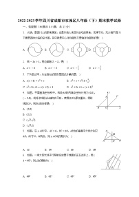 2022-2023学年四川省成都市双流区八年级（下）期末数学试卷（含解析）