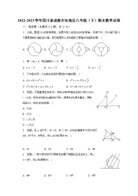 2022-2023学年四川省成都市双流区八年级（下）期末数学试卷（含解析）