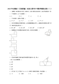 2023年安徽省（百校联赢）名校大联考中考数学模拟试卷（二）（含解析）