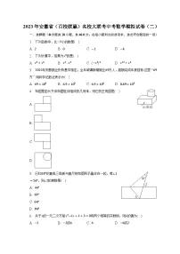 2023年安徽省(百校联赢)名校大联考中考数学模拟试卷(二)(含解析)