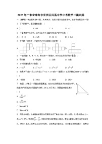 2023年广东省珠海市香洲区凤凰中学中考数学三模试卷（含解析）