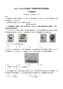 山东省青岛市胶州市2022-2023学年八年级下学期期末数学试题（含答案）