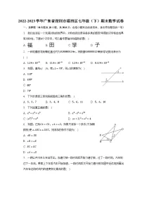 2022-2023学年广东省深圳市福田区七年级(下)期末数学试卷(含解析)