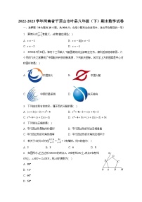 2022-2023学年河南省平顶山市叶县八年级（下）期末数学试卷（含解析）