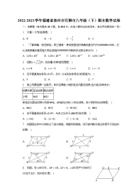 2022-2023学年福建省泉州市石狮市八年级（下）期末数学试卷（含解析）