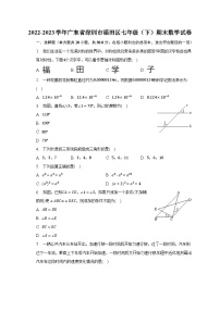 2022-2023学年广东省深圳市福田区七年级（下）期末数学试卷（含解析）