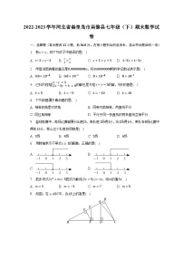 2022-2023学年河北省秦皇岛市昌黎县七年级（下）期末数学试卷（含解析）