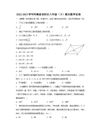 2022-2023学年河南省洛阳市八年级（下）期末数学试卷（含解析）