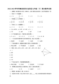 2022-2023学年河南省洛阳市宜阳县七年级（下）期末数学试卷（含解析）