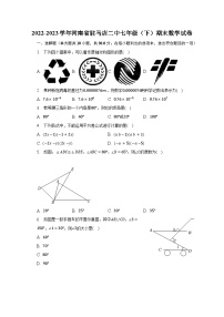 2022-2023学年河南省驻马店二中七年级（下）期末数学试卷（含解析）