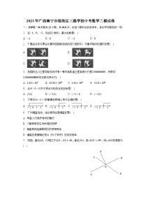 2023年广西南宁市银海区三雅学校中考数学二模试卷（含解析）