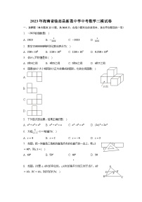 2023年海南省临高县新盈中学中考数学三模试卷（含解析）