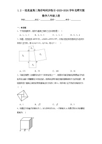 初中数学北师大版八年级上册2 一定是直角三角形吗练习