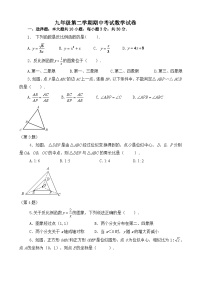 九年级下学期期中数学试卷