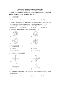 九年级下学期期中数学试卷