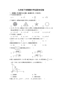 九年级下学期期中数学试卷