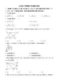 九年级下学期期中数学试卷