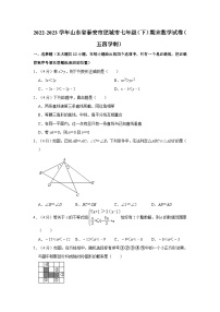 山东省泰安市肥城市2022-2023学年七年级下学期期末考试数学试题（五四学制）（含答案）