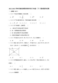 河南省安阳市林州市2022—2023学年下学期八年级期末考试数学试题（含答案）