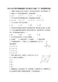 河南省新乡市长垣市2022-2023学年八年级下学期期末数学试卷（含答案）