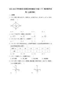 黑龙江省绥化市望奎县2022-2023学年八年级下学期期末数学试卷（五四学制）（含答案）