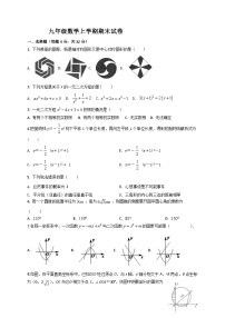 九年级数学上册期末试题