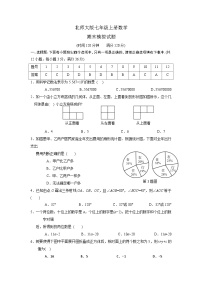 北师大七年级数学上期末试题