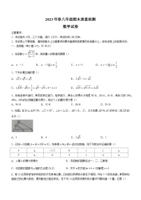 河南省商丘市柘城县2022-2023学年八年级下学期期末数学试题