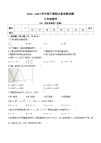 河南省驻马店市汝南县2022-2023学年七年级下学期期末数学试题（含答案）