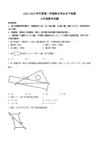 山东省烟台市莱州市（五四制）2022-2023学年七年级下学期期末数学试题（含答案）