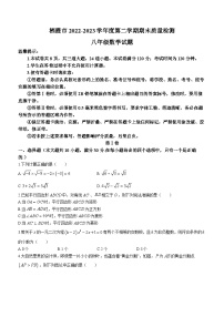 山东省烟台市栖霞市（五四制）2022-2023学年八年级下学期期末数学试题（含答案）