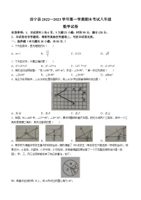 河南省洛阳市洛宁县2022-2023学年八年级上学期期末数学试题（含答案）