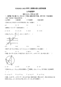 河南省许昌市禹州市2022-2023学年九年级上学期期末数学试题（含答案）