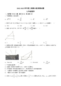 河南省驻马店市泌阳县2022-2023学年九年级上学期期末数学试题（含答案）