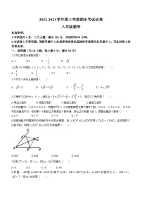 河南省周口市商水县希望初级中学2022-2023学年八年级上学期期末数学试题（含答案）