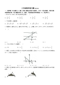 山东省泰安市岱岳区2022-2023学年八年级下学期期末数学试题（含答案）