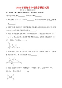 2022年青海省中考数学模拟试卷