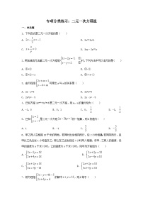 数学七年级暑期专项-七年级数学专项分类练习02：二元一次方程组