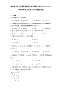 湖南省长沙市岳麓区湖南师大附中博才实验中学2022-2023学年九年级上学期入学考试数学试题