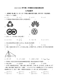 河南省洛阳市偃师区2022-2023学年七年级下学期期末数学试题