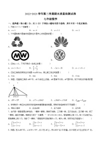 河南省洛阳市偃师区2022-2023学年七年级下学期期末数学试题（含答案）