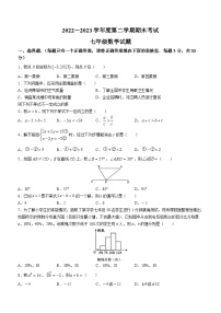 河南省周口市鹿邑县2022-2023学年七年级下学期期末数学试题（含答案）