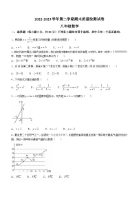 河南省洛阳市偃师区2022-2023学年八年级下学期期末数学试题（含答案）